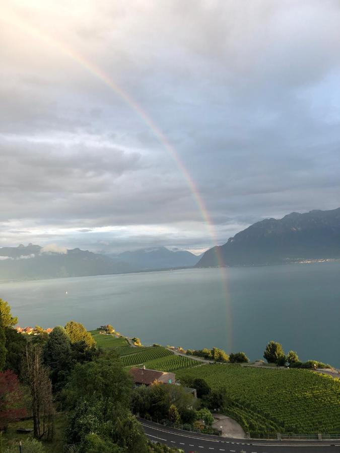 Room With 360° View Overlooking Lake Geneva And Alps Puidoux Eksteriør bilde