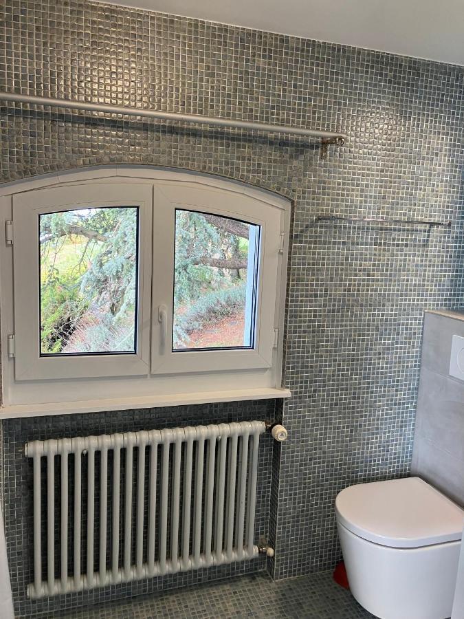 Room With 360° View Overlooking Lake Geneva And Alps Puidoux Eksteriør bilde