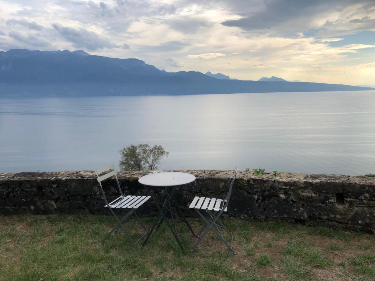 Room With 360° View Overlooking Lake Geneva And Alps Puidoux Eksteriør bilde