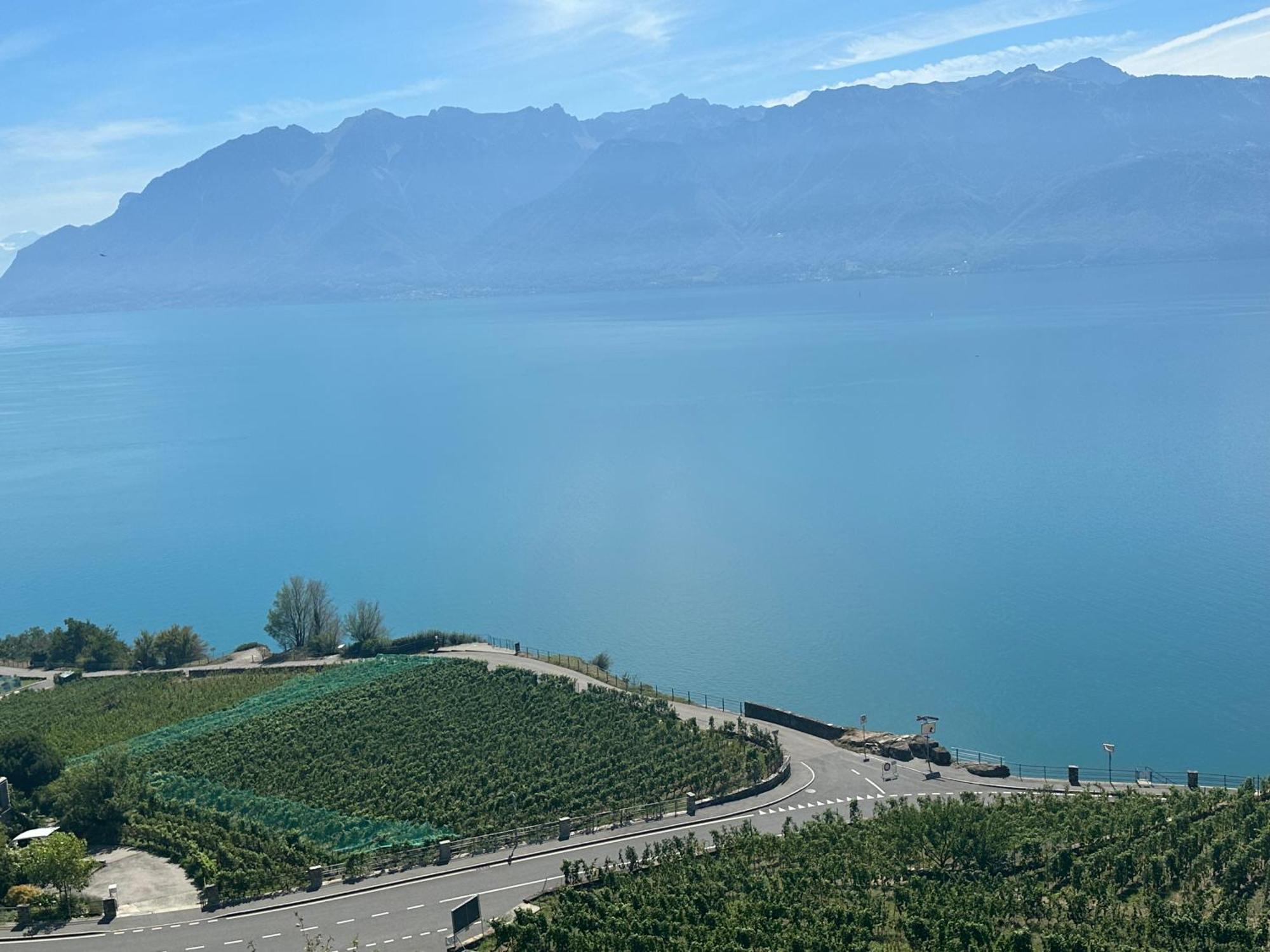 Room With 360° View Overlooking Lake Geneva And Alps Puidoux Eksteriør bilde